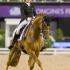 Dressage Team Gold for Germany - FEI European Championships 2017